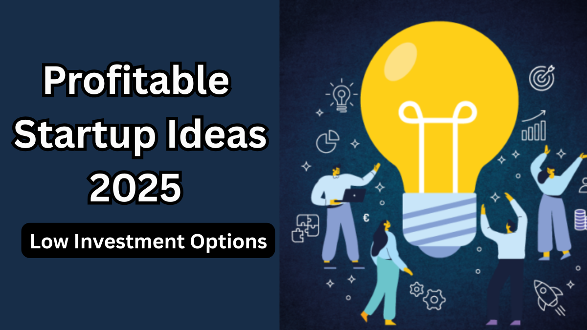 Profitable Startup Ideas 2025 – Low Investment Options