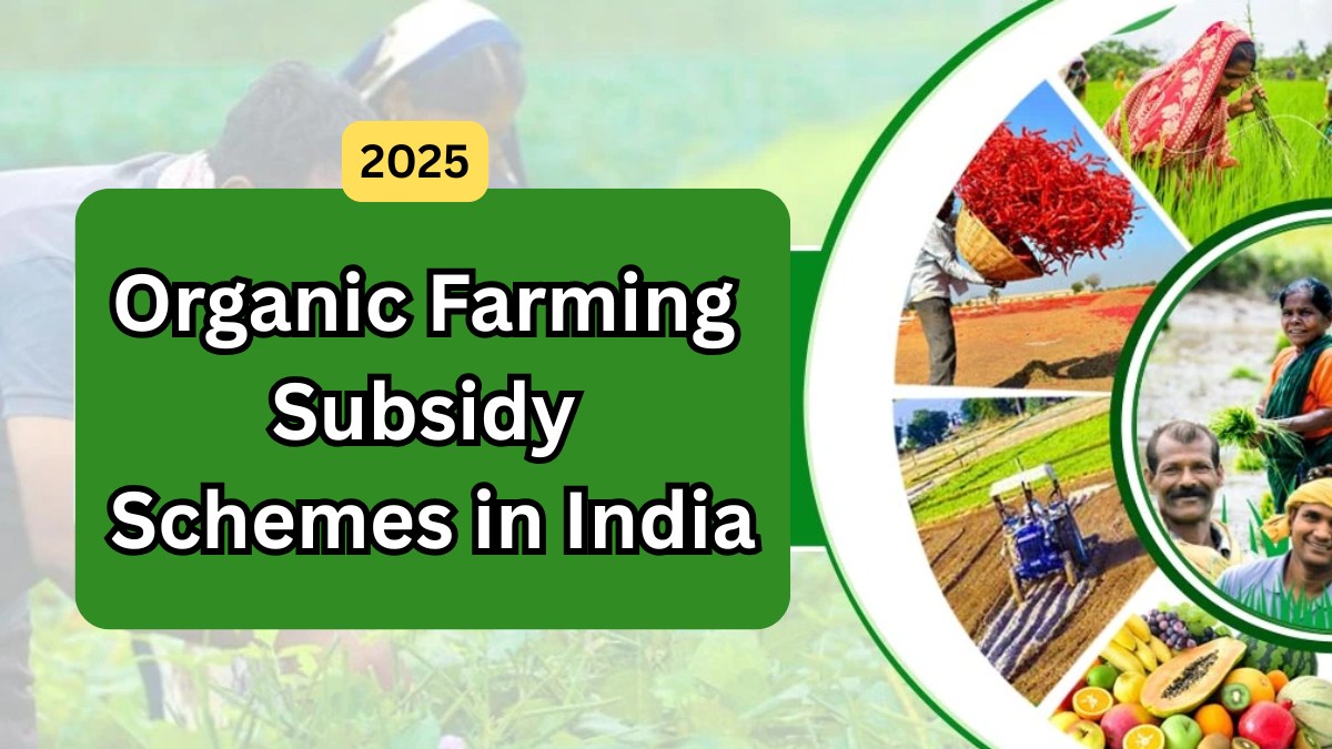 Organic Farming Subsidy Schemes in India – 2025