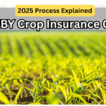 PMFBY Crop Insurance Claim – 2025 Process Explained