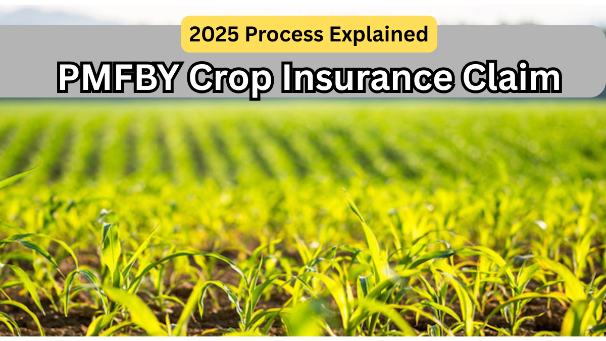 PMFBY Crop Insurance Claim – 2025 Process Explained