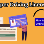 No-Paper Driving License: How to Apply Online in 2025
